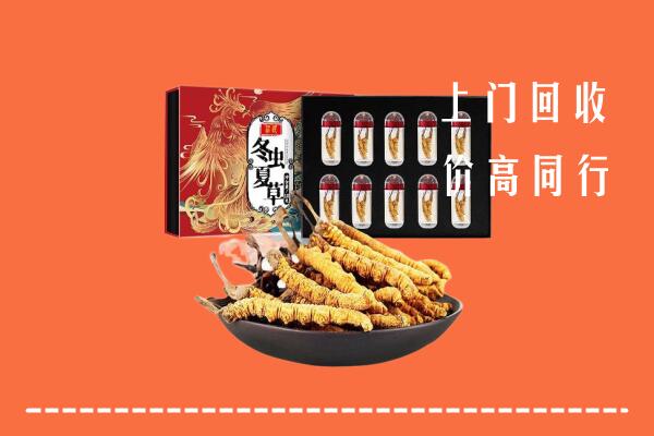 道县区回收虫草